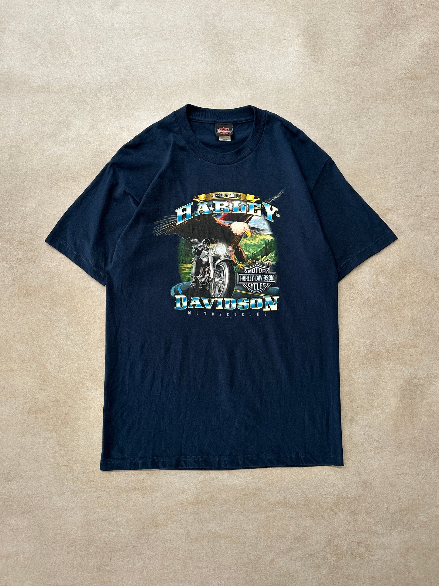 Harley Davidson McDaniel’s Tee (L)