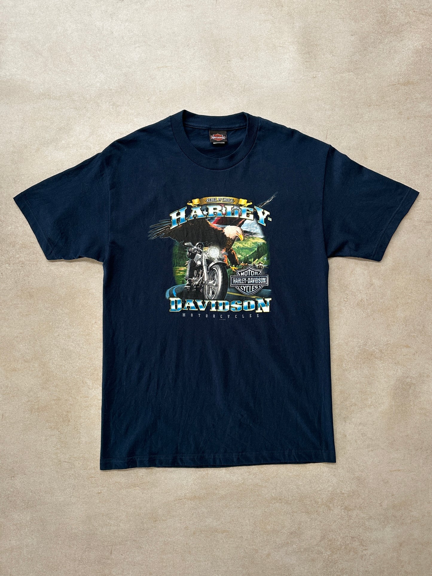 Harley Davidson McDaniel’s Tee (L)